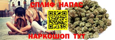 a pvp Лесосибирск