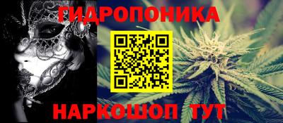 шишки Будённовск