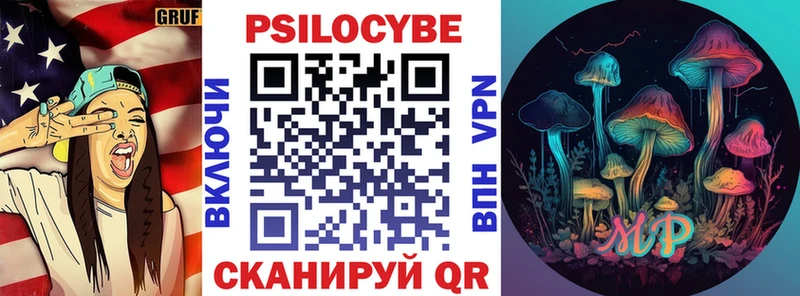 Галлюциногенные грибы Psilocybe  Горно-Алтайск 