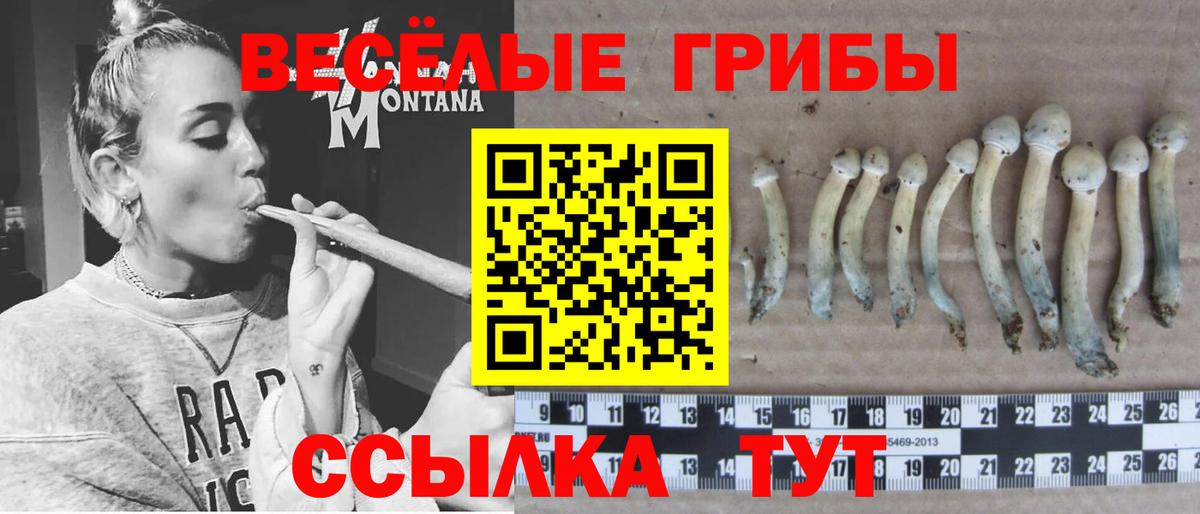 Горно-Алтайск  где можно купить наркотик  Вход с VPN  Галлюциногенные грибы мухоморы 