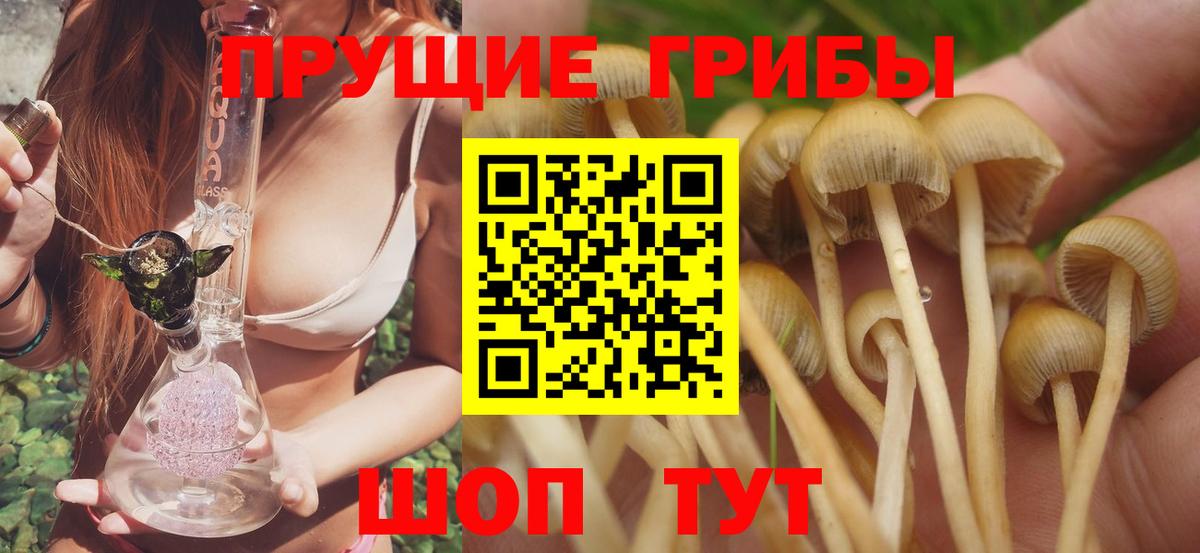 Псилоцибиновые грибы MAGIC MUSHROOMS  Горно-Алтайск  Псилоцибиновые грибы Psilocybine cubensis 