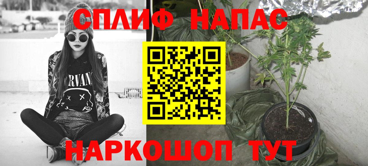 Каннабис MAZAR Горно-Алтайск